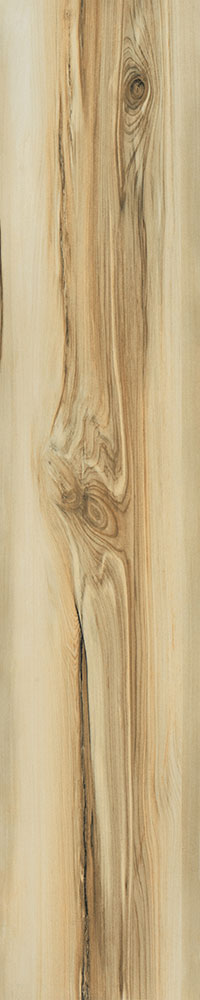 Matte Finish 10008 Porcelain 200x1000mm