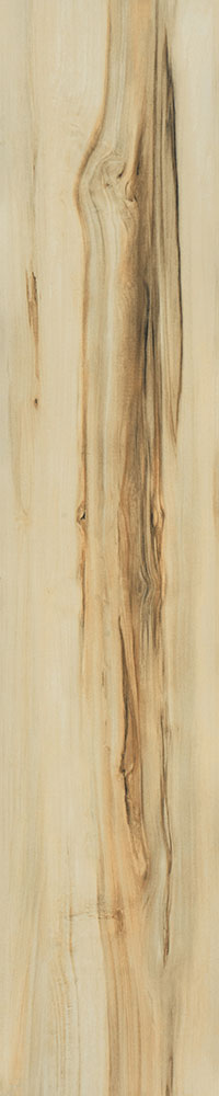 Matte Finish 10008 Porcelain 200x1000mm