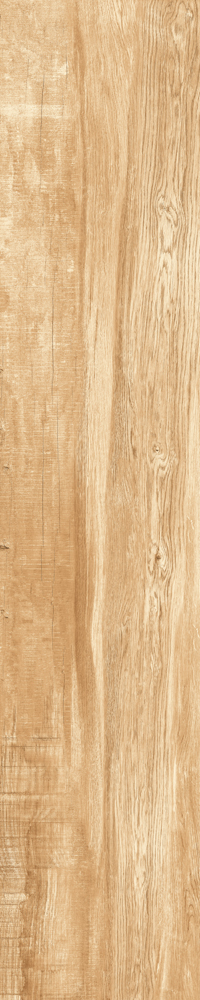 Matte Finish 10009 Porcelain 200x1000mm