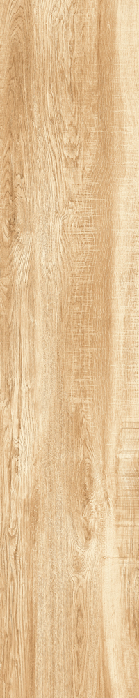 Matte Finish 10009 Porcelain 200x1000mm