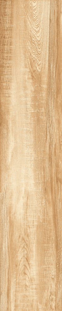 Matte Finish 10009 Porcelain 200x1000mm