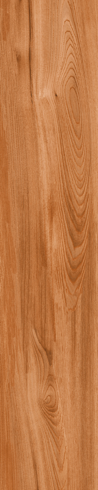 Matte Finish 10010 Porcelain 200x1000mm