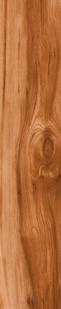 Matte Finish 10010 Porcelain 200x1000mm