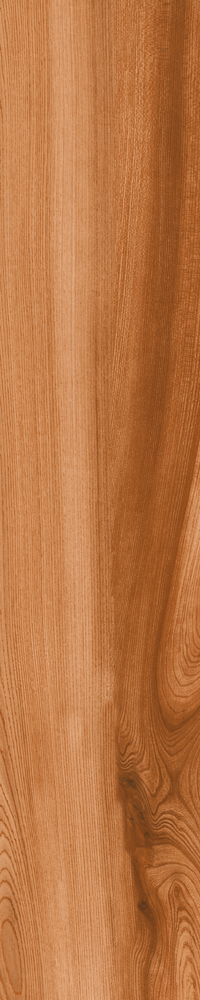 Matte Finish 10010 Porcelain 200x1000mm