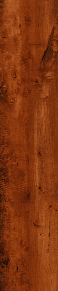 Matte Finish 10011 Porcelain 200x1000mm