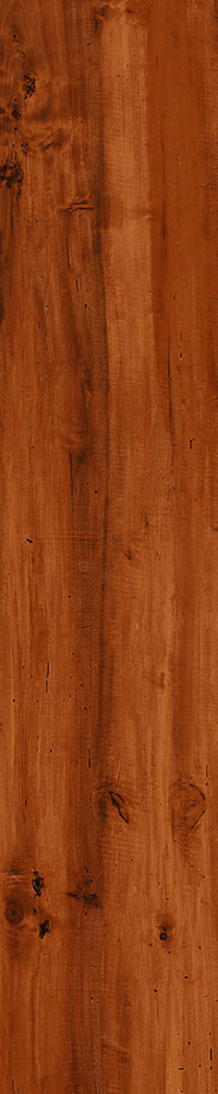 Matte Finish 10011 Porcelain 200x1000mm