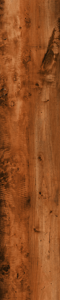 Matte Finish 10012 Porcelain 200x1000mm