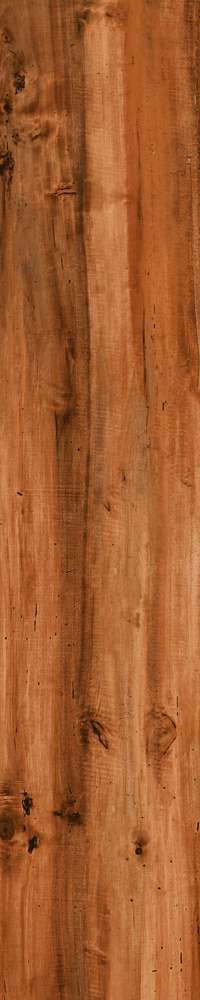 Matte Finish 10012 Porcelain 200x1000mm