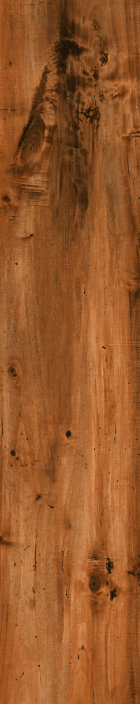 Matte Finish 10012 Porcelain 200x1000mm