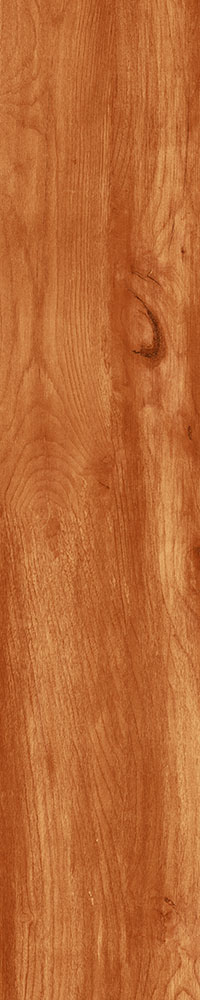 Matte Finish 10013 Porcelain 200x1000mm