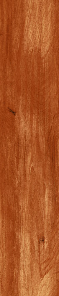 Matte Finish 10013 Porcelain 200x1000mm