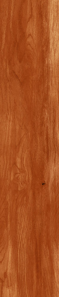 Matte Finish 10013 Porcelain 200x1000mm