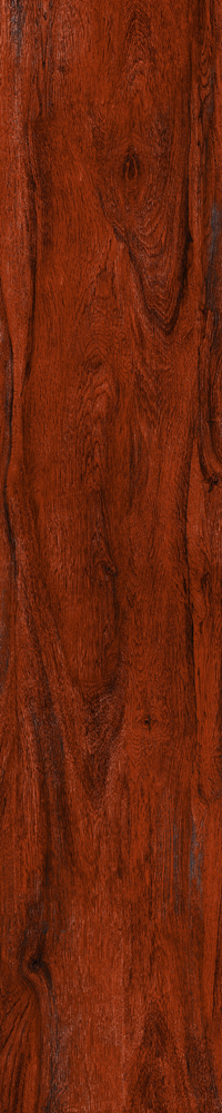 Matte Finish 10015 Porcelain 200x1000mm