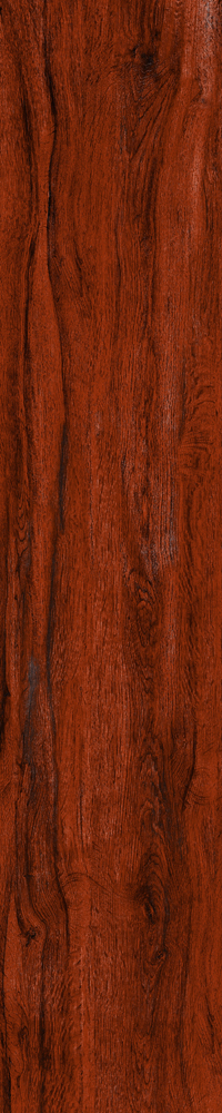 Matte Finish 10015 Porcelain 200x1000mm