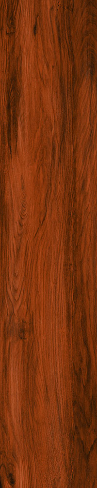 Matte Finish 10017 Porcelain 200x1000mm