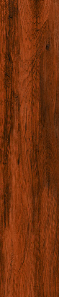 Matte Finish 10017 Porcelain 200x1000mm