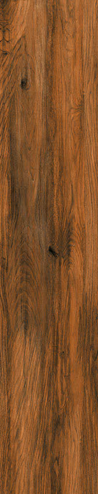 Matte Finish 10022 Porcelain 200x1000mm