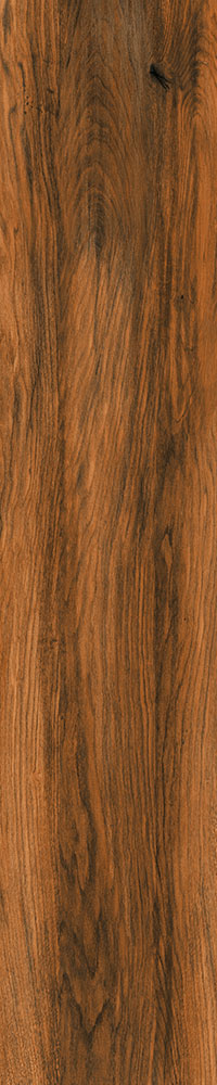 Matte Finish 10022 Porcelain 200x1000mm