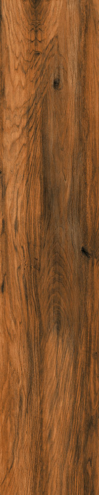 Matte Finish 10022 Porcelain 200x1000mm