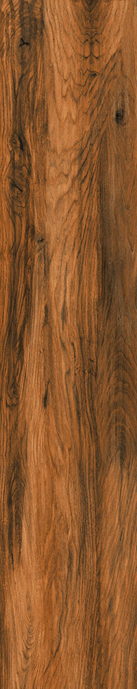 Matte Finish 10022 Porcelain 200x1000mm