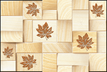 Matte Finish 1107 Ceramic 300x450mm