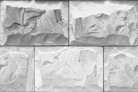 High Depth Elevation Tiles 