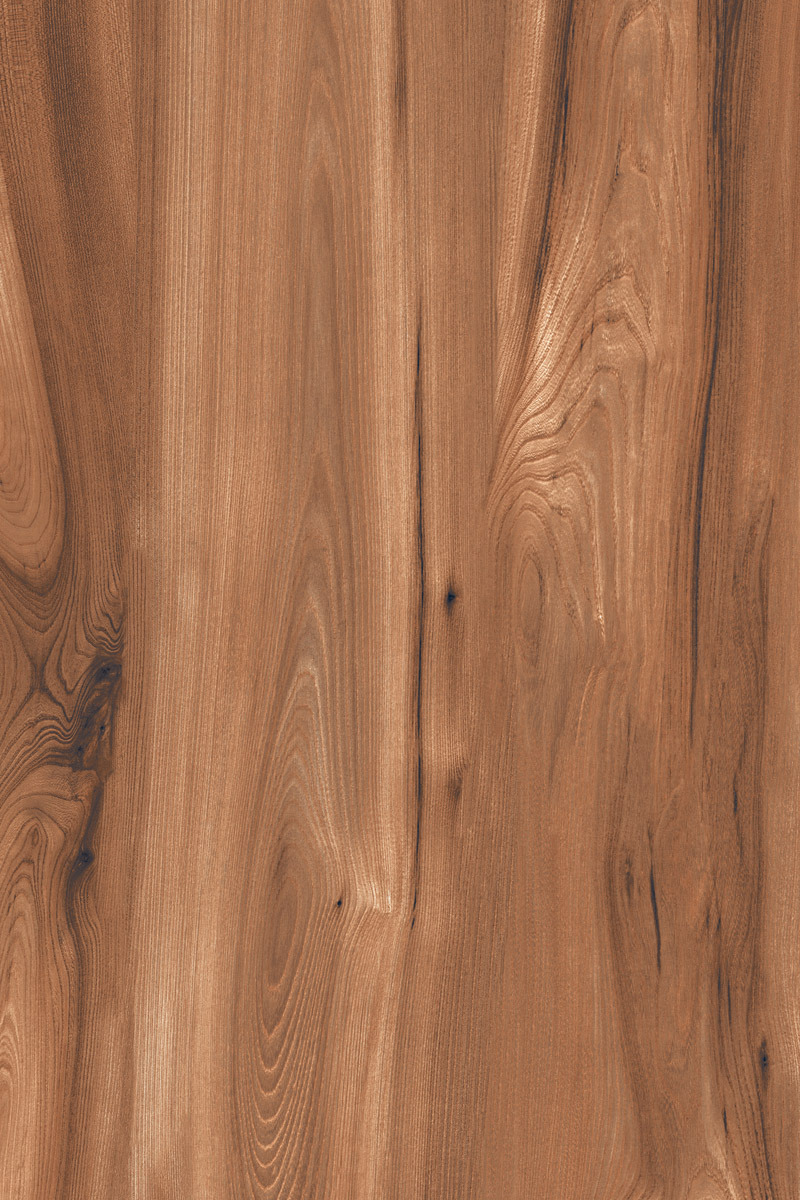 Matte Finish American Walnut Brown GVT 800x1200mm