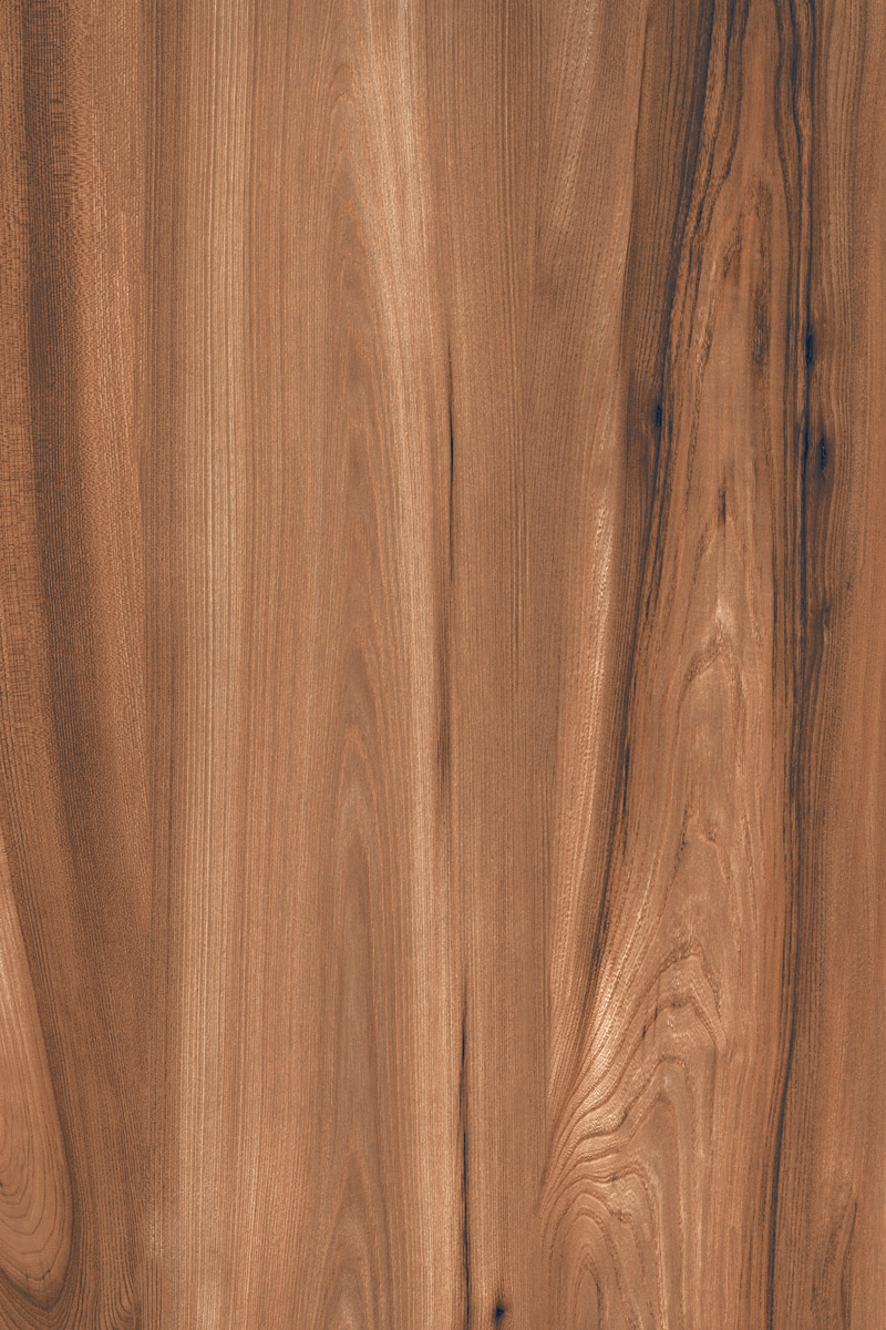 Matte Finish American Walnut Brown GVT 800x1200mm