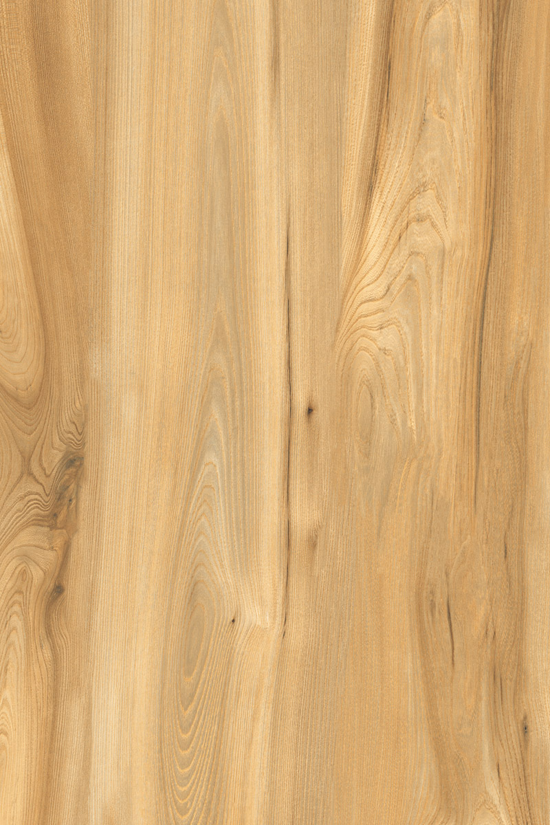 Matte Finish American Walnut Light GVT 800x1200mm