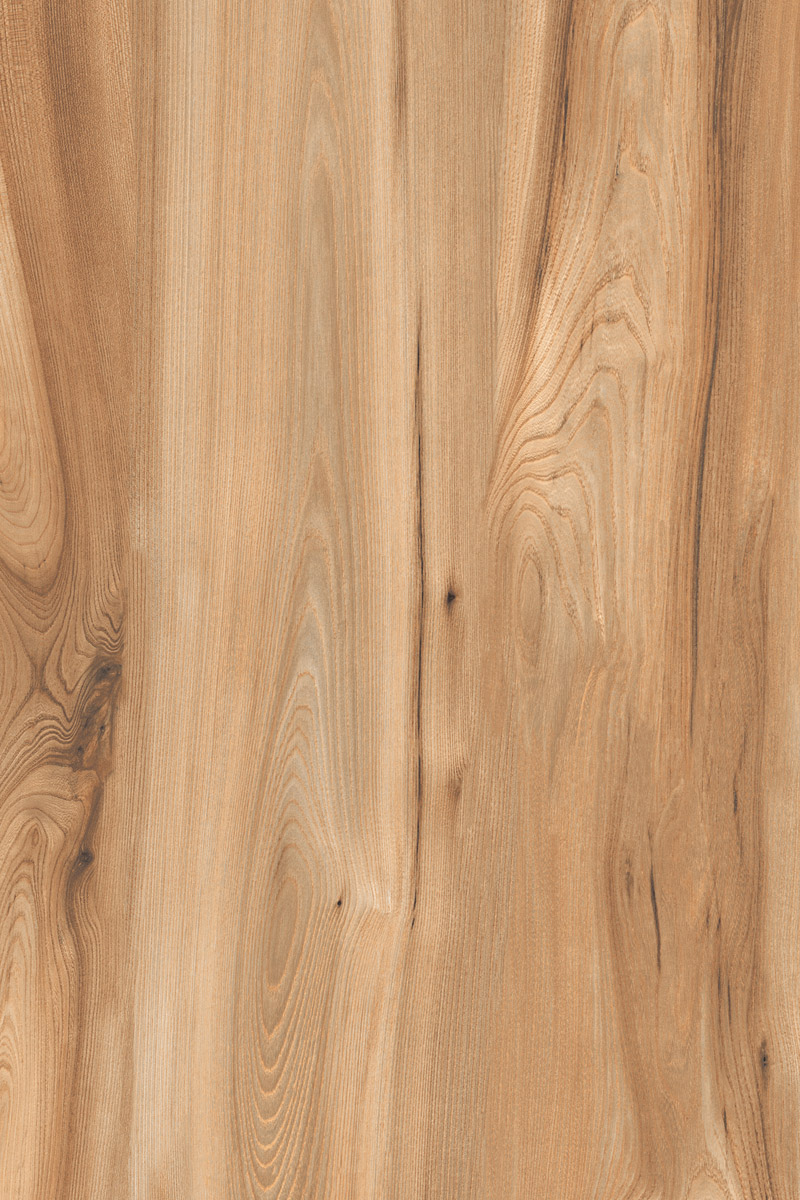 Matte Finish American Walnut Natural GVT 800x1200mm
