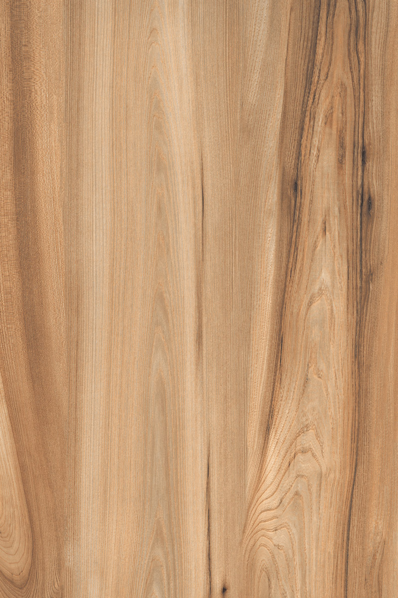 Matte Finish American Walnut Natural GVT 800x1200mm