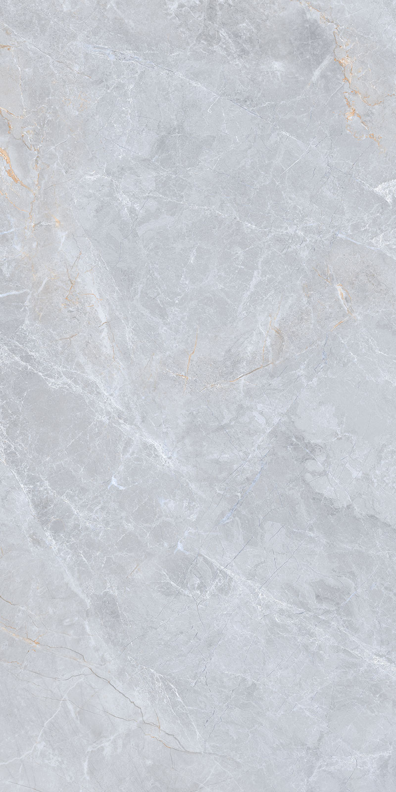 Glossy Finish Ant Grey (800 x 1600) PGVT 800x1600mm