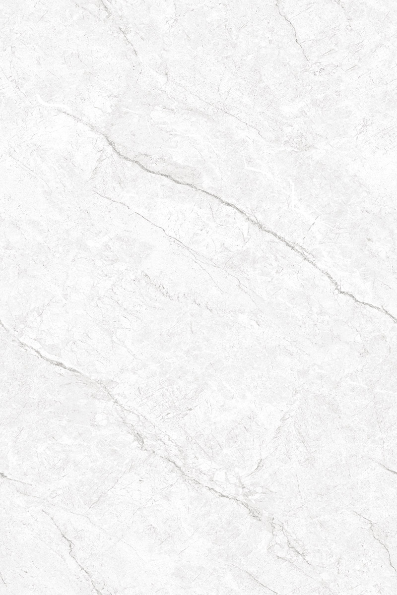 Glossy Finish EL Authentic Bianco  PGVT 800x1200mm