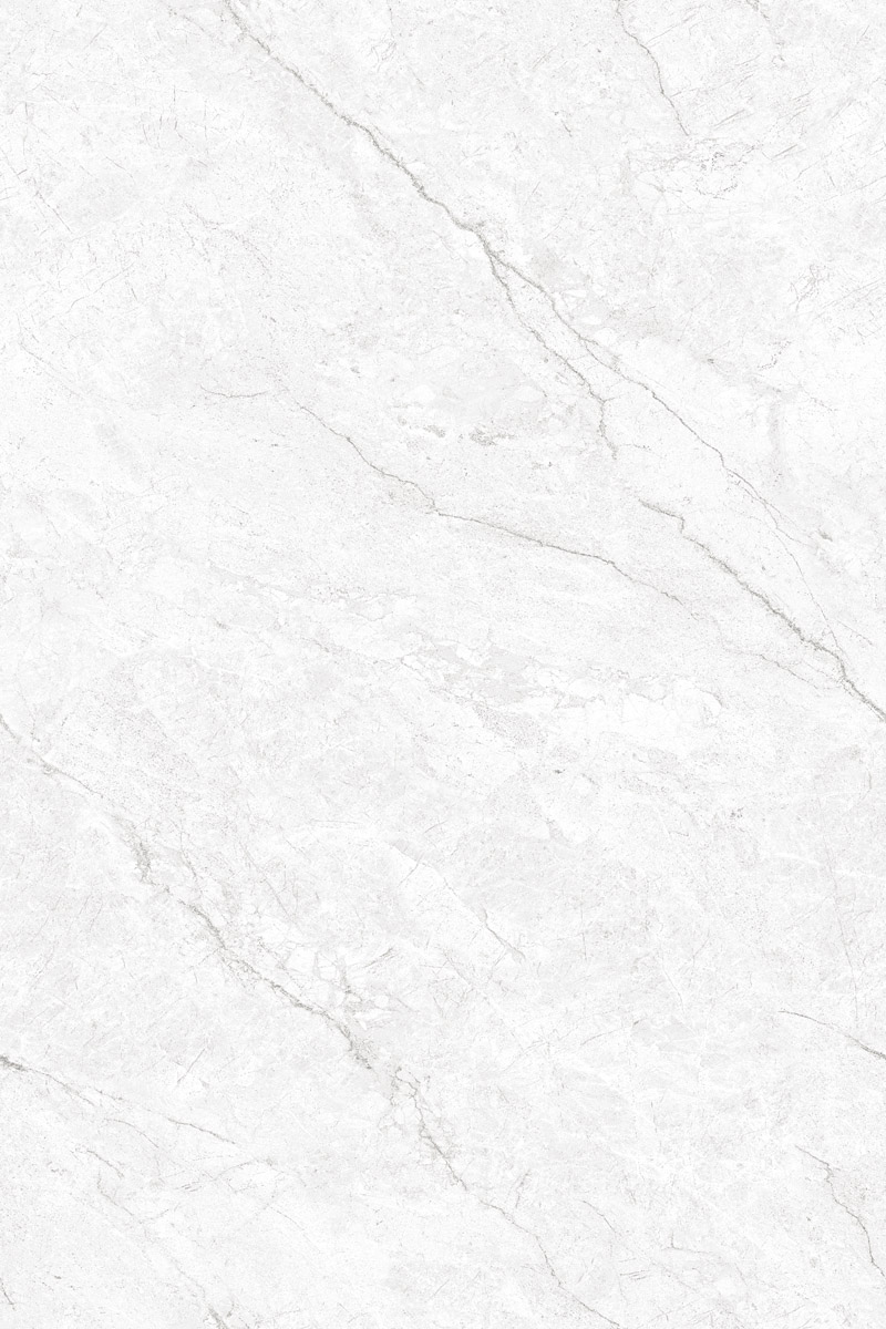 Glossy Finish EL Authentic Bianco  PGVT 800x1200mm