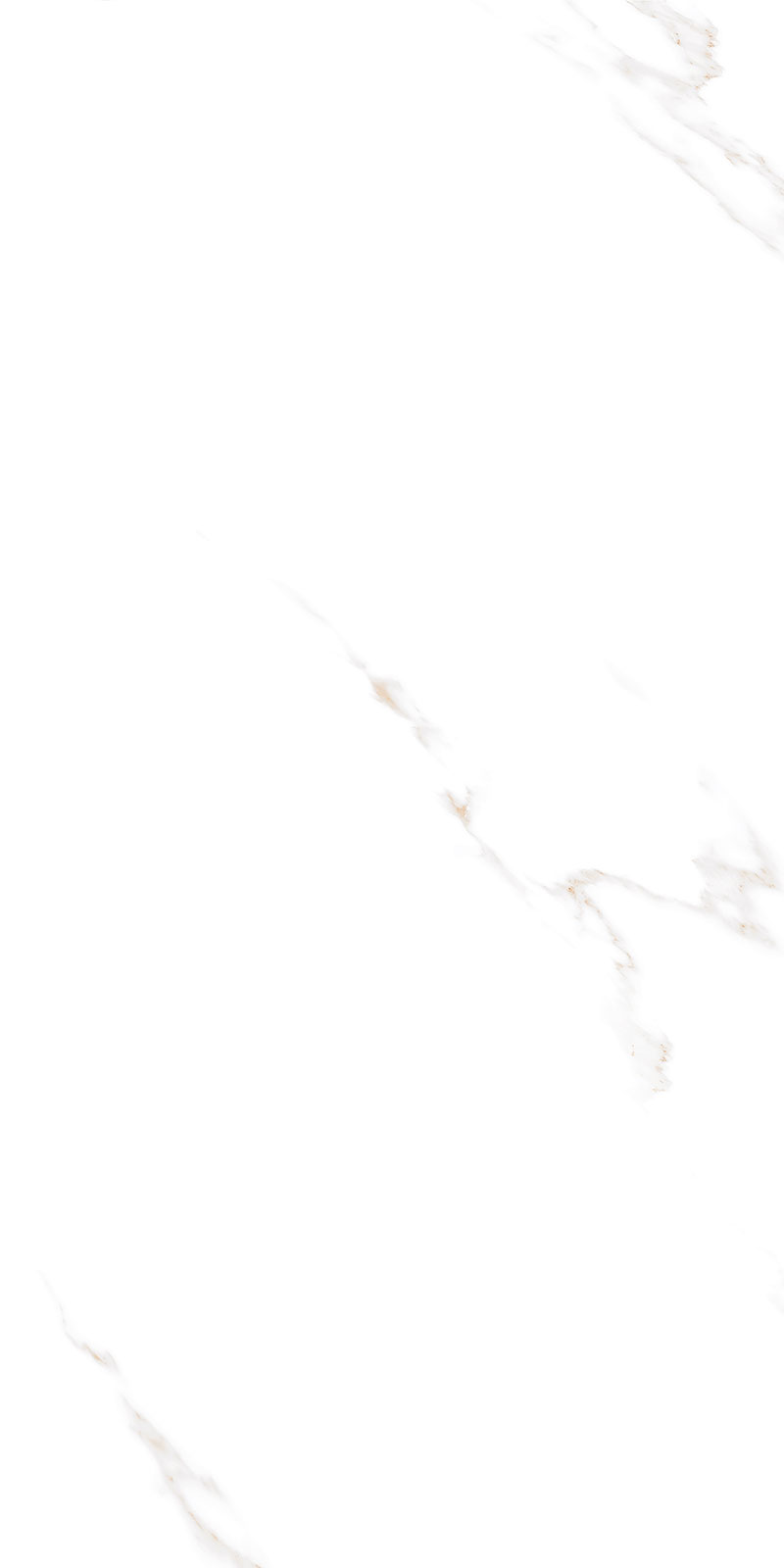 Glossy Finish Bianco Stone(800x1600) PGVT 800x1600mm