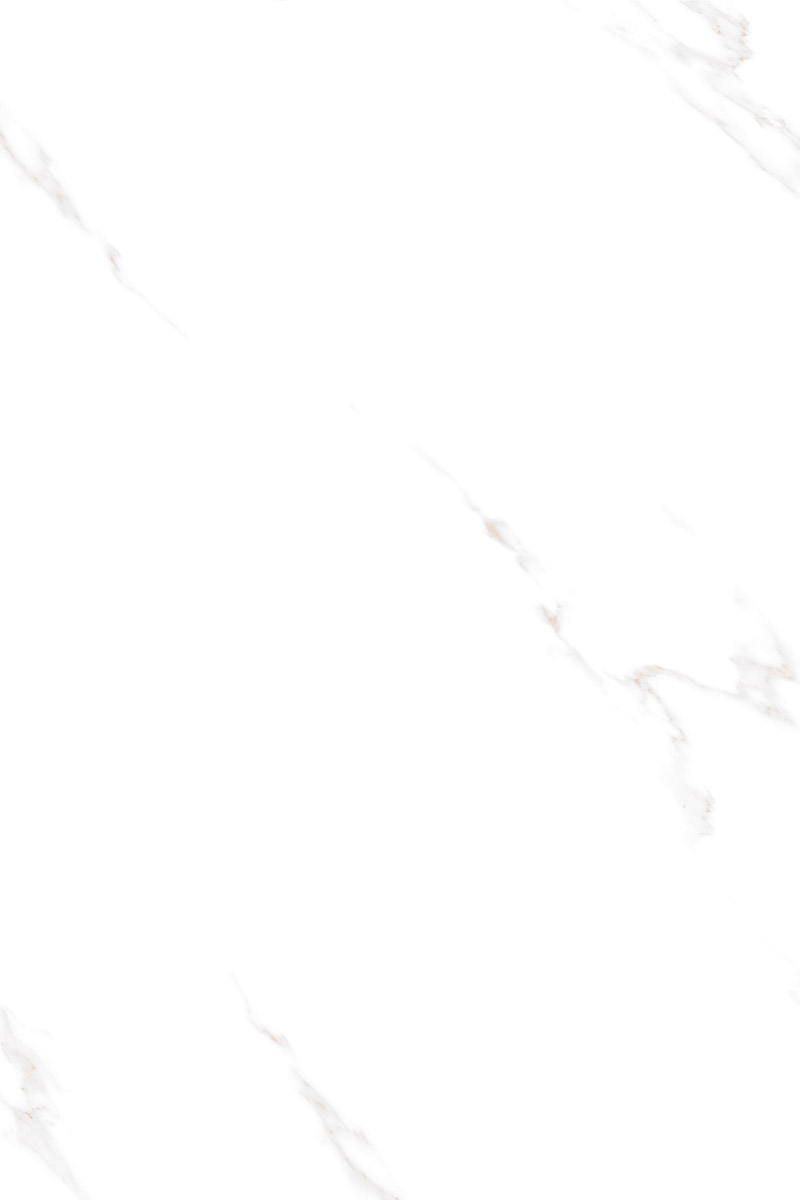 Glossy Finish Bianco Stone PGVT 800x1200mm