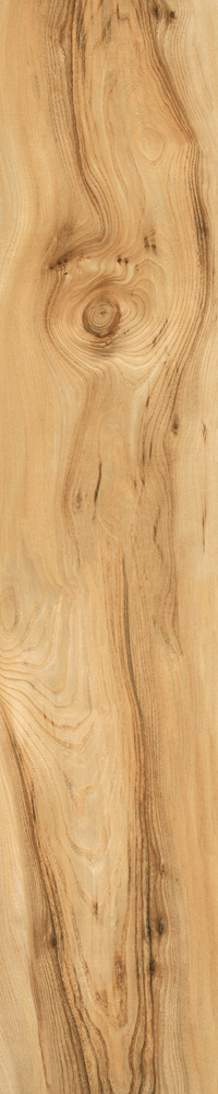 Matte Finish Biscuit Porcelain 200x1000mm