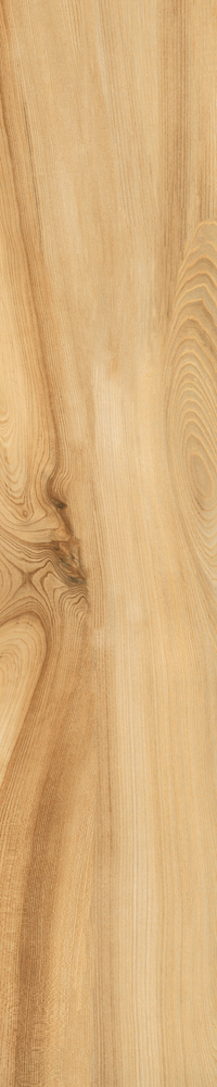 Matte Finish Biscuit Porcelain 200x1000mm