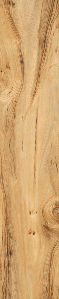 Matte Finish Biscuit Porcelain 200x1000mm