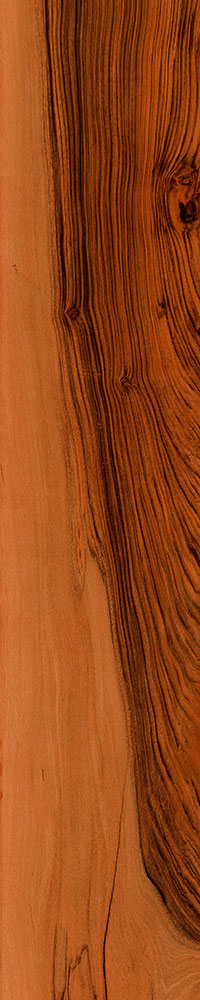 Matte Finish Brown Cherry Porcelain 200x1000mm