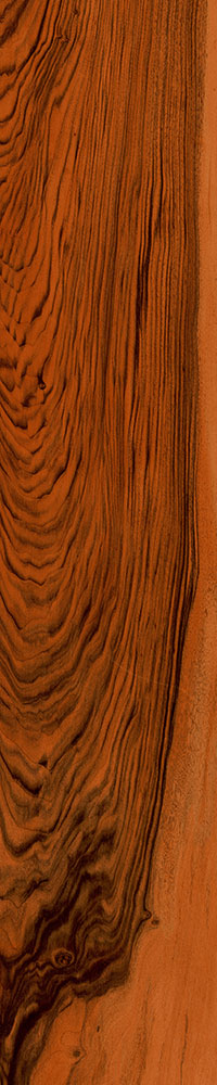 Matte Finish Brown Cherry Porcelain 200x1000mm