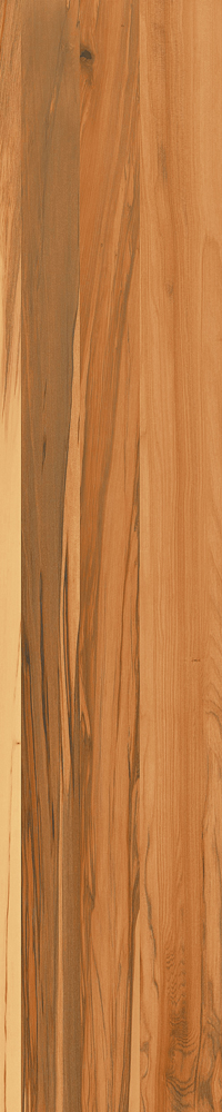 Matte Finish Cedartone 1 Porcelain 200x1000mm