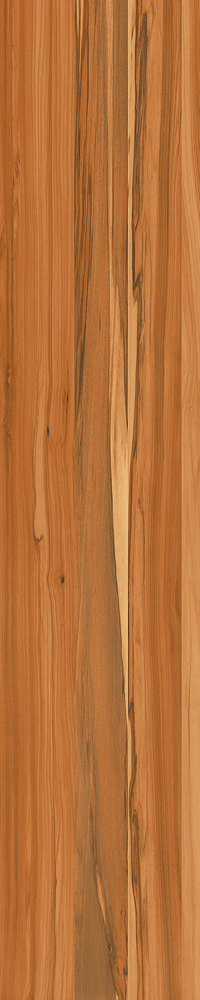 Matte Finish Cedartone 1 Porcelain 200x1000mm