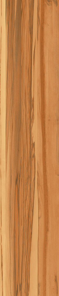 Matte Finish Cedartone 1 Porcelain 200x1000mm