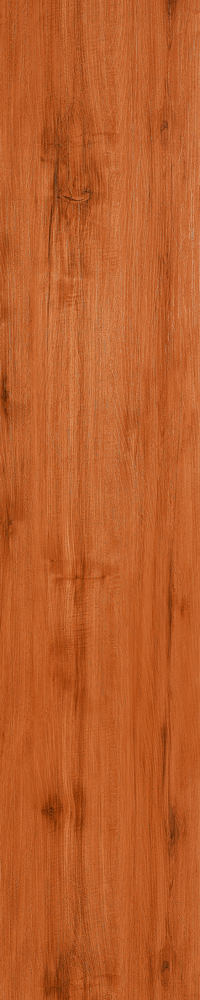 Matte Finish Cherry Red Porcelain 200x1000mm