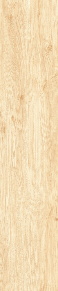 Matte Finish Clean Slate Porcelain 200x1000mm