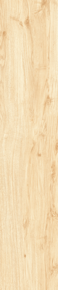 Matte Finish Clean Slate Porcelain 200x1000mm