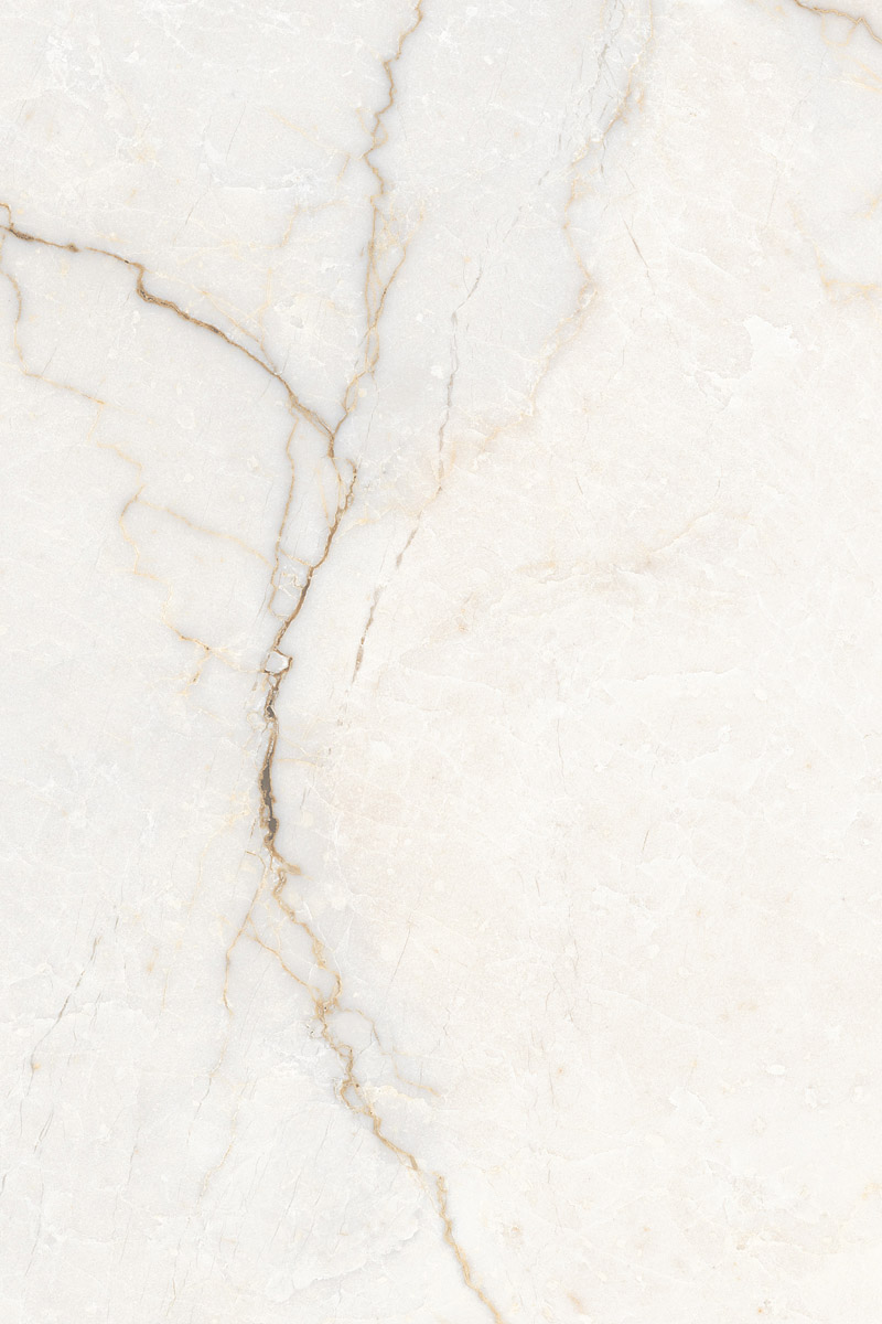 Glossy Finish Clinker Gray PGVT 800x1200mm