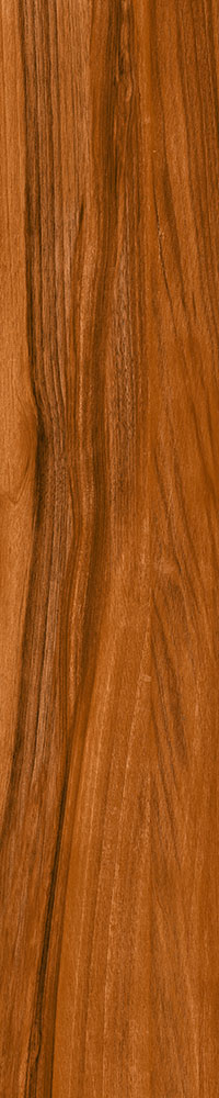 Matte Finish Coast Wood Porcelain 200x1000mm