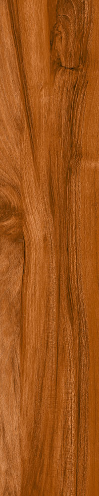 Matte Finish Coast Wood Porcelain 200x1000mm